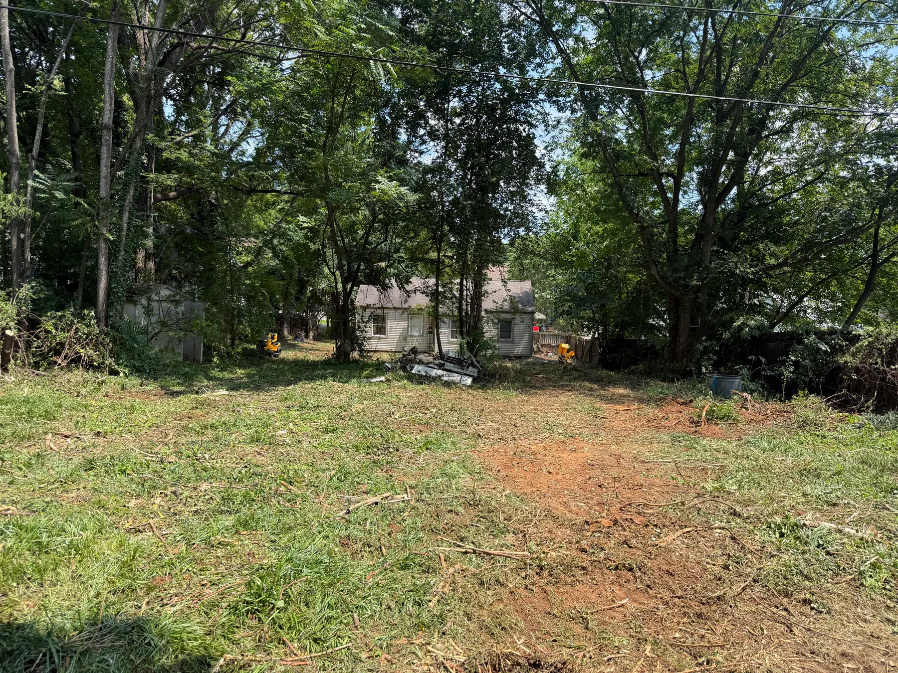 Backyard area opened up with cut vegetation and exposed ground