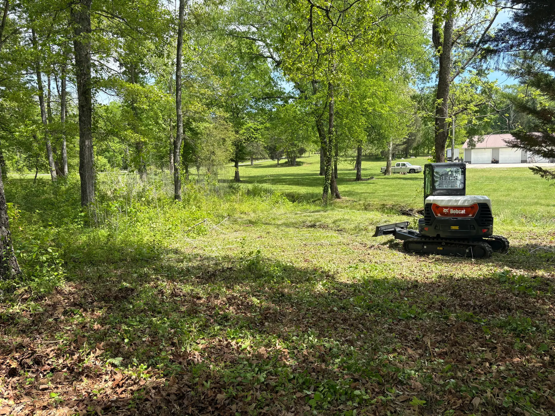 BECS excavator on ground cleared of undergrowth beneath mature trees